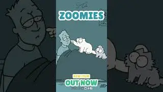New Film! It’s the 4AM Zoomies.