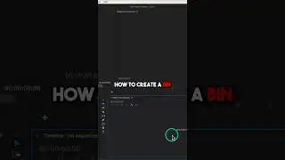 How to Create a Bin in Premiere Pro 2024 (Beginner Friendly) 