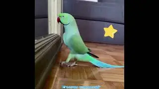 Я как новый айфон во время старта продаж!
