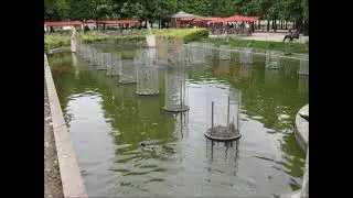 Париж. Сад Тюильри / Paris. Tuileries Garden