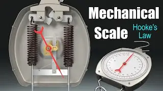 How does a Mechanical Scale work? (Spring Scale)