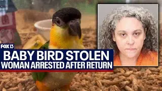 Rare bird worth $2.4K returned to pet store; suspect behind bars