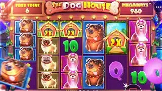 ЛЮТЕЙШАЯ БОНУСКА НА ЛАСТ СПИНАХ DOG HOUSE|ЗАНОСЫ НЕДЕЛИ