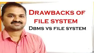 File System vs DBMS || Drawbacks of File Management Systems