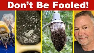 Beekeeping Terms That Can Be Confusing & Misunderstood