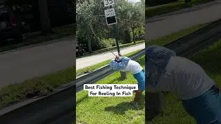 Best Fishing Technique #justfishing #fishing