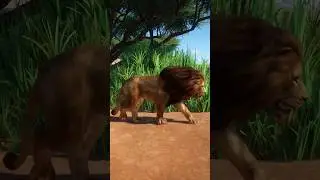 West African Lion Walking Freely in Inama Zoo Wildlife Park | Planet Zoo