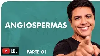 ANGIOSPERMAS - BOTÂNICA - Prof. Kennedy Ramos