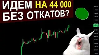 Биткоин за 40 - ПАМП продолжается. АЛЬТА стоит. Быстрый РАЗБОР