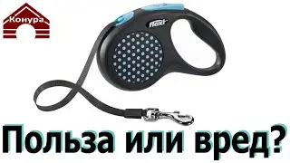 231. ПОВОДОК РУЛЕТКА польза или ВРЕД? Какой поводок выбрать для собаки?