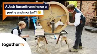 A dog powered pestle and mortar! 💊🐶 | Victorian Pharmacy | Together TV