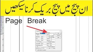 How to Insert Page Break in Inpage | Break Page in Inpage