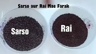 Sarso aur Rai daano me antar |Use of mustard seeds| sarsoj aur rai daano ka farak