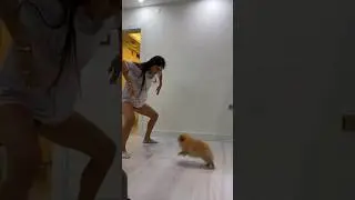 Benim köpek bozuk galiba😂 