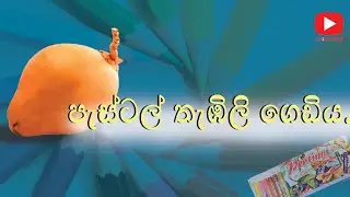 Lets'draw and king coconut for school students
