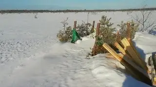 Домик на болоте.