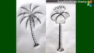 Coconut and Palm Tree Drawing Tutorial