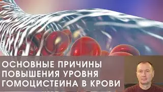 ОСНОВНЫЕ ПРИЧИНЫ ПОВЫШЕНИЯ УРОВНЯ ГОМОЦИСТЕИНА В КРОВИ