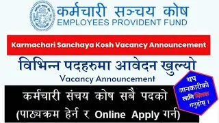 Karmachari Sanchaya Kosh Vacancy for Various Positions 2080