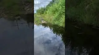 MTB river crossing fail 