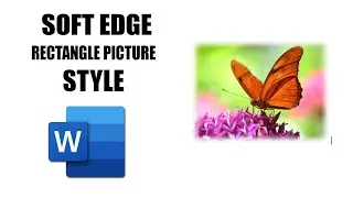 How to apply soft edge rectangle picture style in word mac