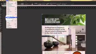 Adobe InDesign Training - Snippets