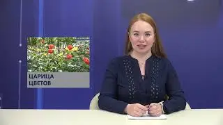 НОВОСТИ - выпуск от 21.06.2023
