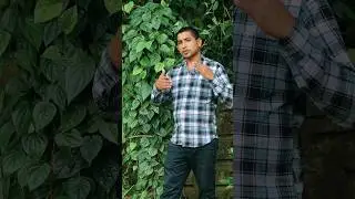 😋Paan Pata background 🤤#hamid #motivational shorts🔥लोग बार-बार क्यों पीछे पड़ता है?