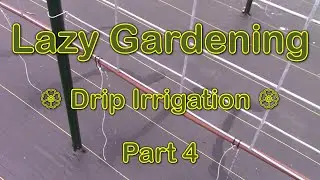 Lazy Gardening, Part 4 - Drip Irrigation