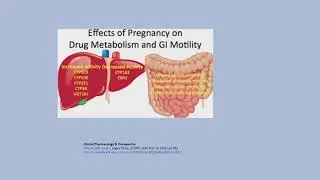 Drug Therapy in Pregnant and Nursing Women with Dr. Anne Zajicek