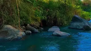 Relaxing water sounds for studying, river water sounds for sleeping, water sounds for sleep or focus