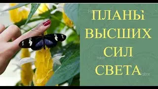 ПЛАНЫ ВЫСШИХ СИЛ СВЕТА. ПОСЛАНИЕ. Ирина Белова.