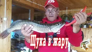 Щука в жару. Жара, ливень и щука в 2 кг.