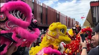 Cabramatta lion dance performance by Yun Yee tong and get ready for Cabramatta moon festival 2024