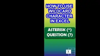 How to use WIld Card Character in Excel 🔴 [*] [?] 🔴