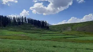 Lalazar Batakundi Meadows - Beautiful Pakistan Tourist Place Naran Kaghan Valley