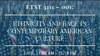 Ethnicity and Race in Contemporary American Culture