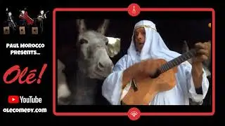 Paul Morocco ! Ole comedy show ! Happy New Year 2021 ! Enjoy some Guitar with Donkeys ! Fun Animals!