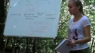 Что такое Гештальт-терапия | Олег Мальцев