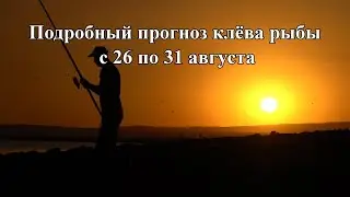 Календарь рыболова с прогнозом клева на ближайшие 7 дней.  Подробный прогноз клёва рыбы с 26 по 31