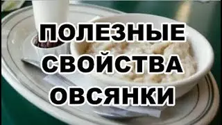 Полезные свойства овсянки