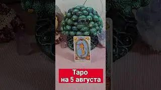 Таро на 5 августа#shorts