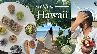 my life in hawaii 🌺🌴 | what i eat, getting productive, local life