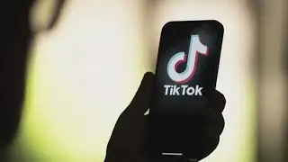 TikTok Shutdown | Popular app goes offline as U.S. ban takes effect