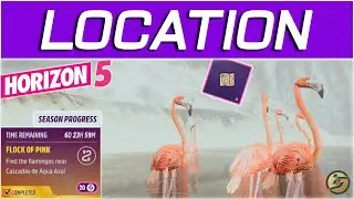 Forza Horizon 5 FLOCK OF PINK Find the Flamingos near Cascadas de Agua Azul FH5 FORZATHON Challenge