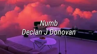 Declan J Donovan - Numb (Lyrics)