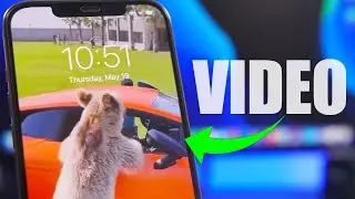 How to Set VIDEO as Lock Screen Wallpaper on iPhone (FREE & EASY)