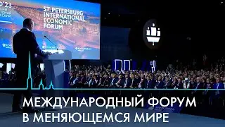 ПМЭФ 2023. Международный форум в меняющемся мире