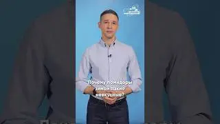 Есть ли польза в «пластиковых» овощах зимой? 🍅