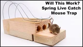 Can I Turned This 400 Year Old Style Spring Mouse Trap Into A Live Catch Trap? Mousetrap Monday